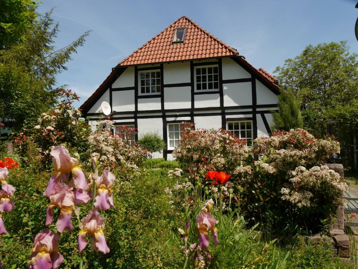 Ferienwohnung Weserblick Polle Zewnętrze zdjęcie